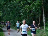 DSC4609 : heuvelrugloop