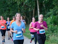 DSC4629 : heuvelrugloop