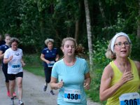 DSC4640 : heuvelrugloop