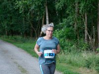 DSC4664 : heuvelrugloop