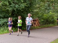 Dick-Jeukens-8857 : Heuvelrugloop 2019