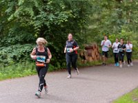 Dick-Jeukens-8858 : Heuvelrugloop 2019