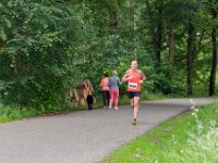 Dick-Jeukens-3969 : Heuvelrugloop 2019